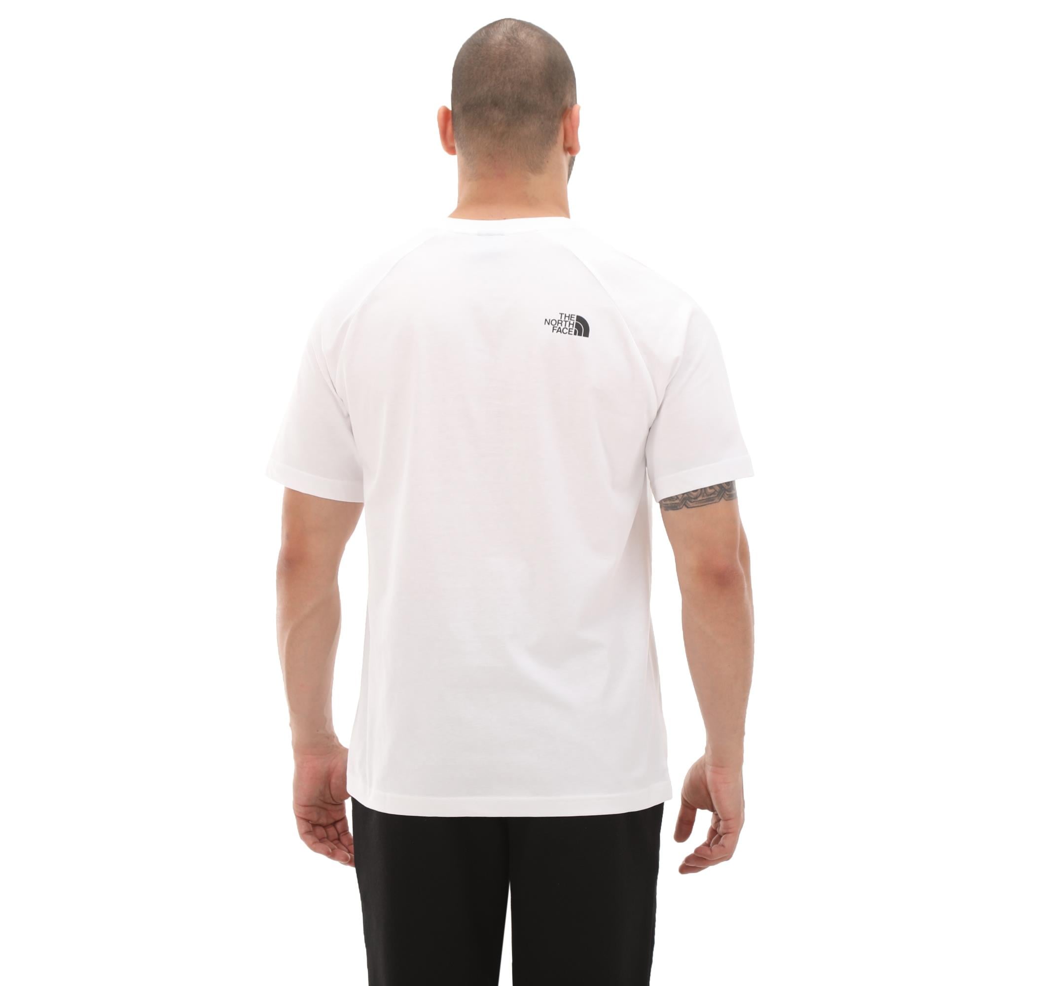 The North Face M S/S Raglan Redbox Tee Erkek Tişört NF0A87NJZI51