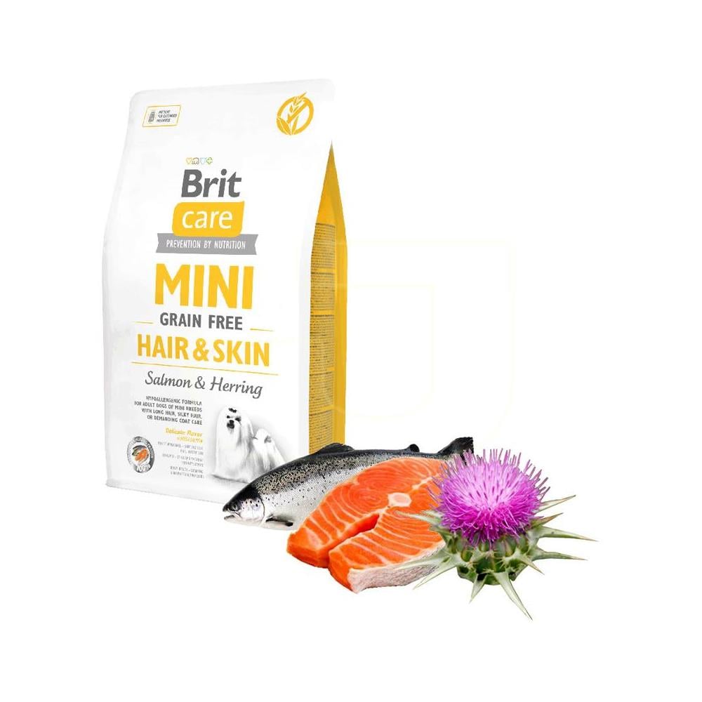 Brit Care Mini Hair Skin Somonlu Köpek Maması 2 kgBrit Care
