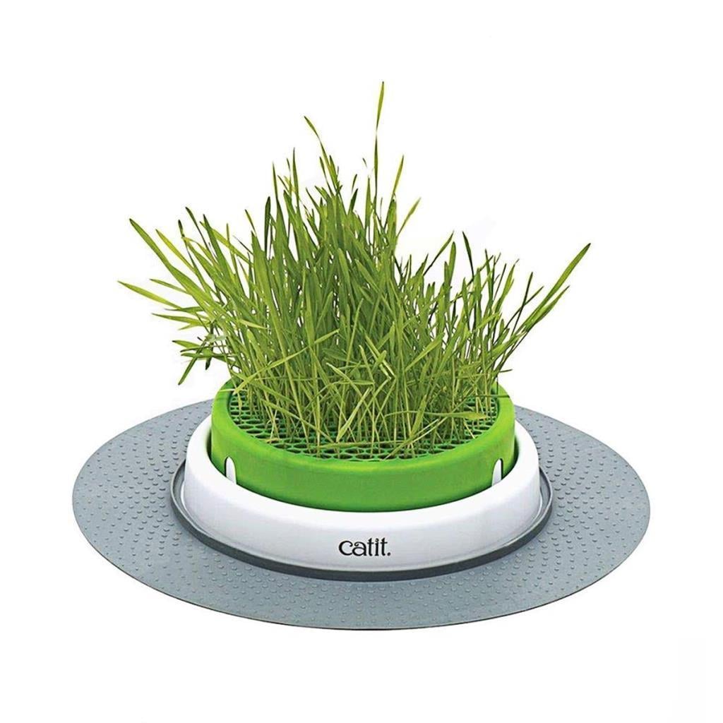 Catit Senses Grass Planter Kedi Çimi SetiCatit