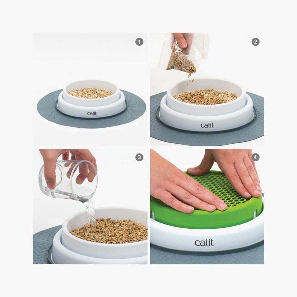 Catit Senses Grass Planter Kedi Çimi SetiCatit