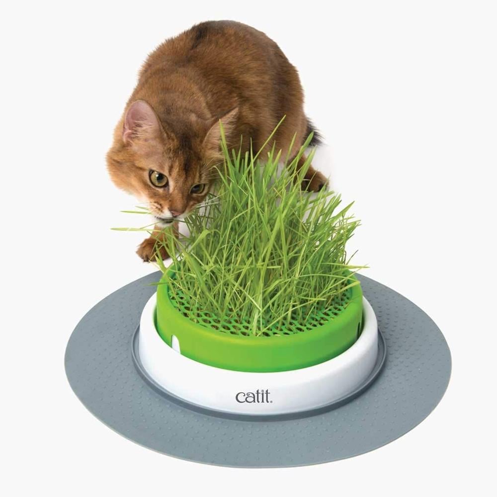 Catit Senses Grass Planter Kedi Çimi SetiCatit