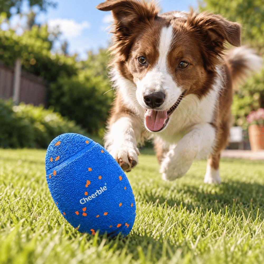 Cheerble Wicked Rugby Şarjlı Akıllı Köpek Oyuncağı MaviCheerble