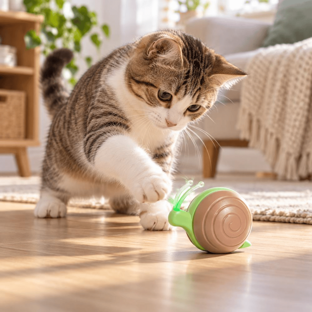 Cheerble Wicked Snail Şarjlı Akıllı İnteraktif Kedi Oyuncağı Kahverengi 7 x 5 x 5,8 cmCheerble