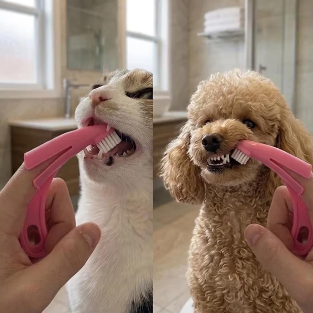 Demirhan Parmağa Takılan Kedi Köpek Diş FırçasıDemirhan