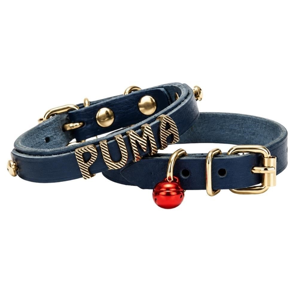 Doggie Kedi ve Yavru Köpek İsimlikli Deri Boyun Tasması 1,2 x 23-27 cm MaviDoggie