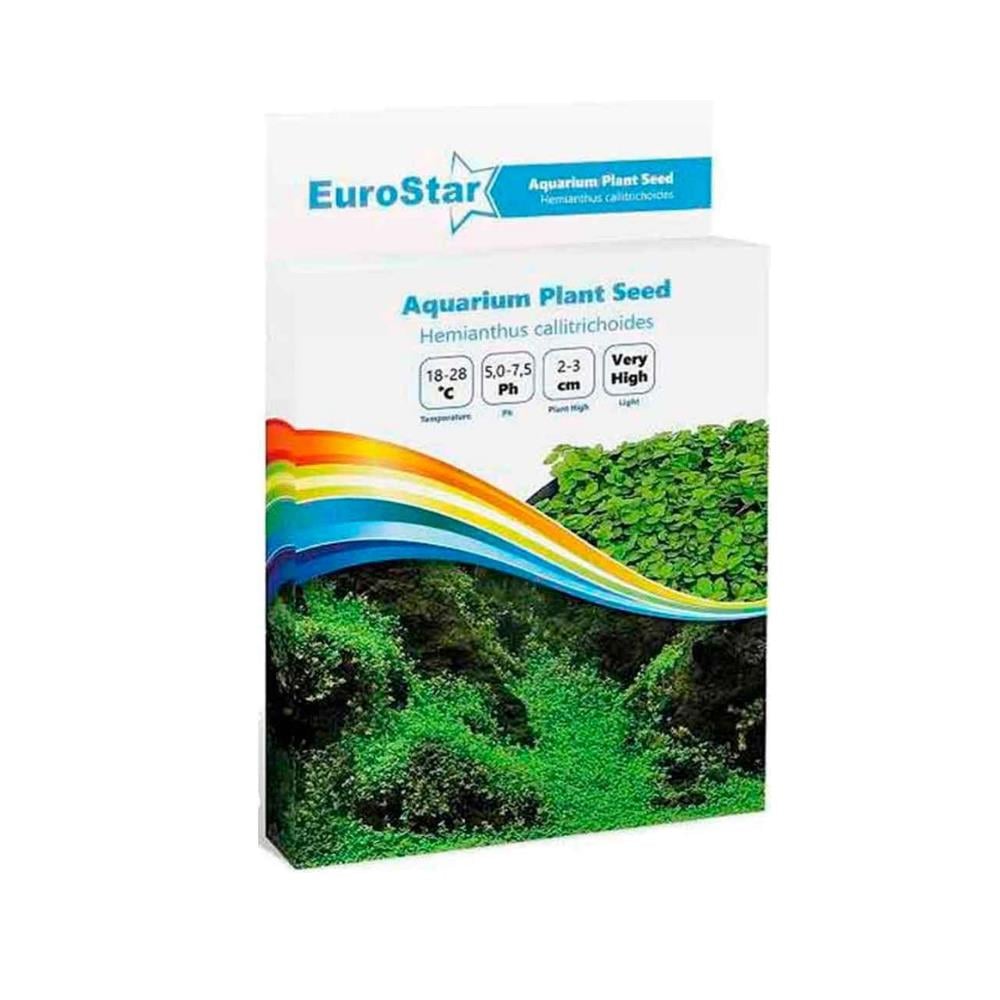 EuroStar Bitki Tohumu Hemianthus CallitrichoidesEUROSTAR