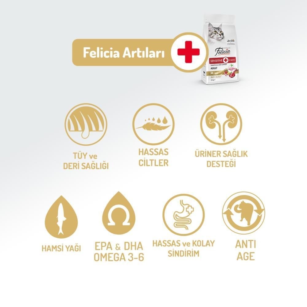 Felicia Az Tahıllı HypoAllergenic Kuzu Etli Yetişkin Kedi Maması 2 kgFelicia