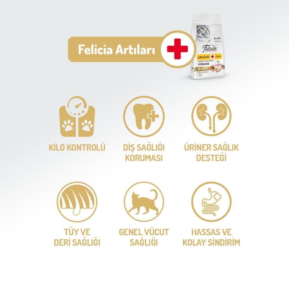 Felicia Az Tahıllı Kısırlaştırılmış Tavuklu Hipoalerjenik Kedi Maması 12 kgFelicia