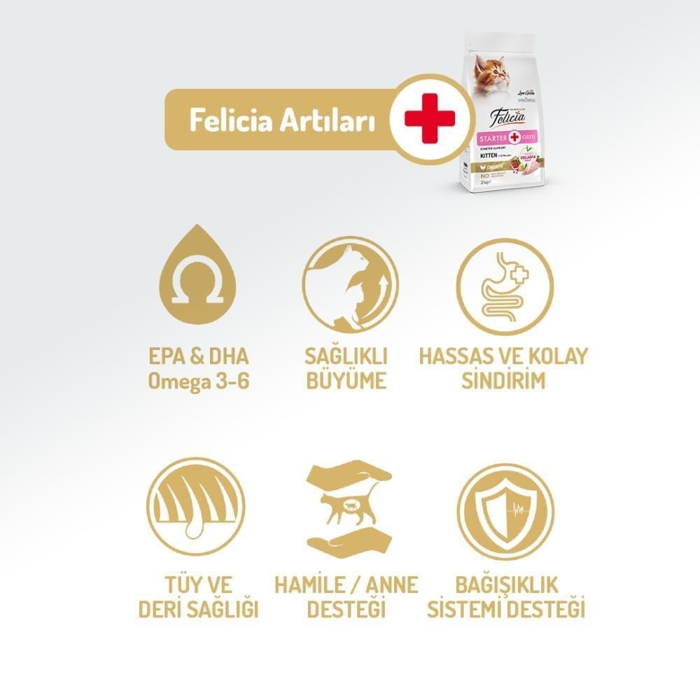 Felicia Az Tahıllı Yavru Tavuklu HypoAllergenic Kedi Maması 2 kgFelicia