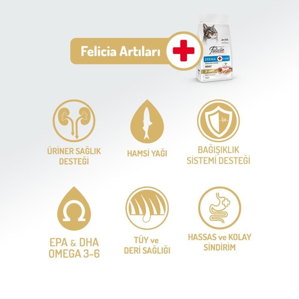 Felicia Az Tahıllı Yetişkin Somonlu HypoAllergenic Kedi Maması 12 kgFelicia