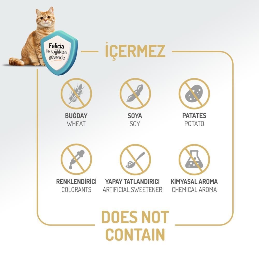 Felicia Az Tahıllı Yetişkin Somonlu HypoAllergenic Kedi Maması 12 kgFelicia