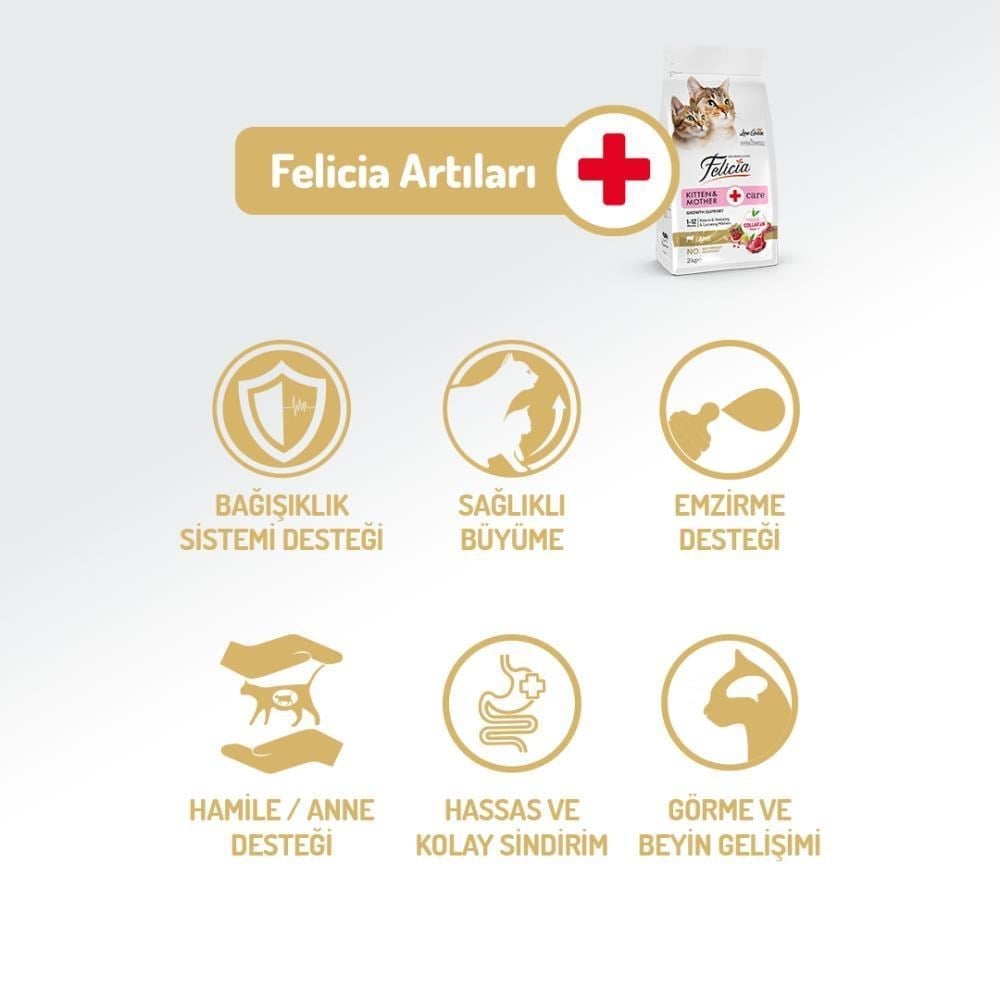 Felicia Kitten & Mother Az Tahıllı Kuzu Etli Kedi Maması 12 kgFelicia