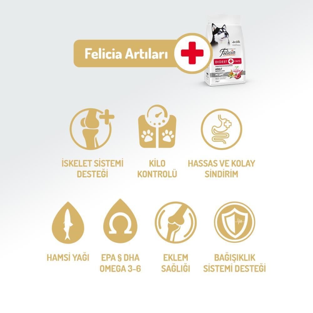 Felicia Kuzu Etli Yetişkin Köpek Maması 15 kgFelicia