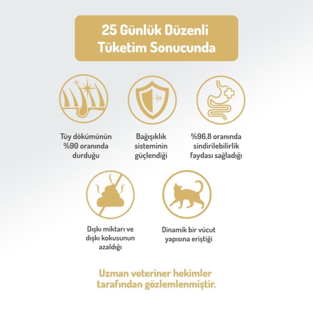 Felicia Somon Balıklı Kısır Yetişkin Kedi Maması 2 kgFelicia