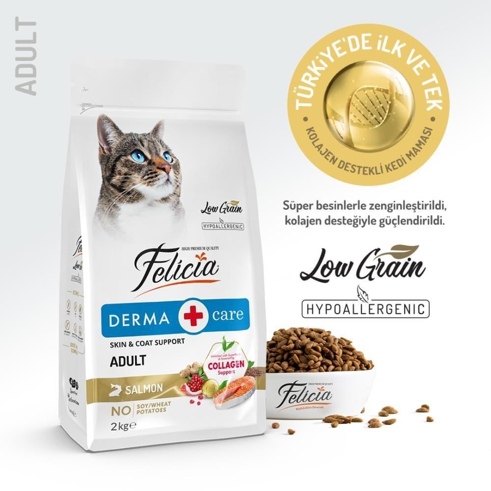 Felicia Somon Balıklı Yetişkin Kedi Maması 2 kgFelicia