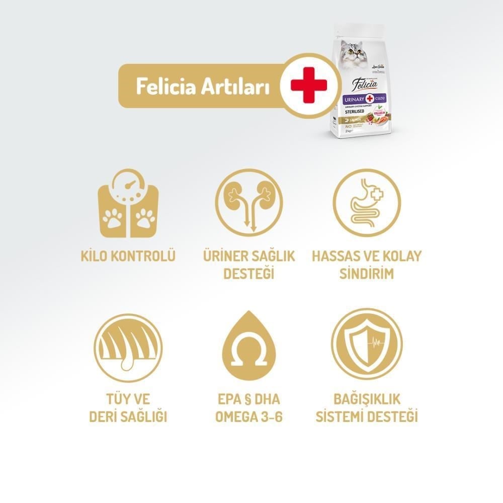 Felicia Somonlu Az Tahıllı Kısır Kedi Maması 12 kgFelicia