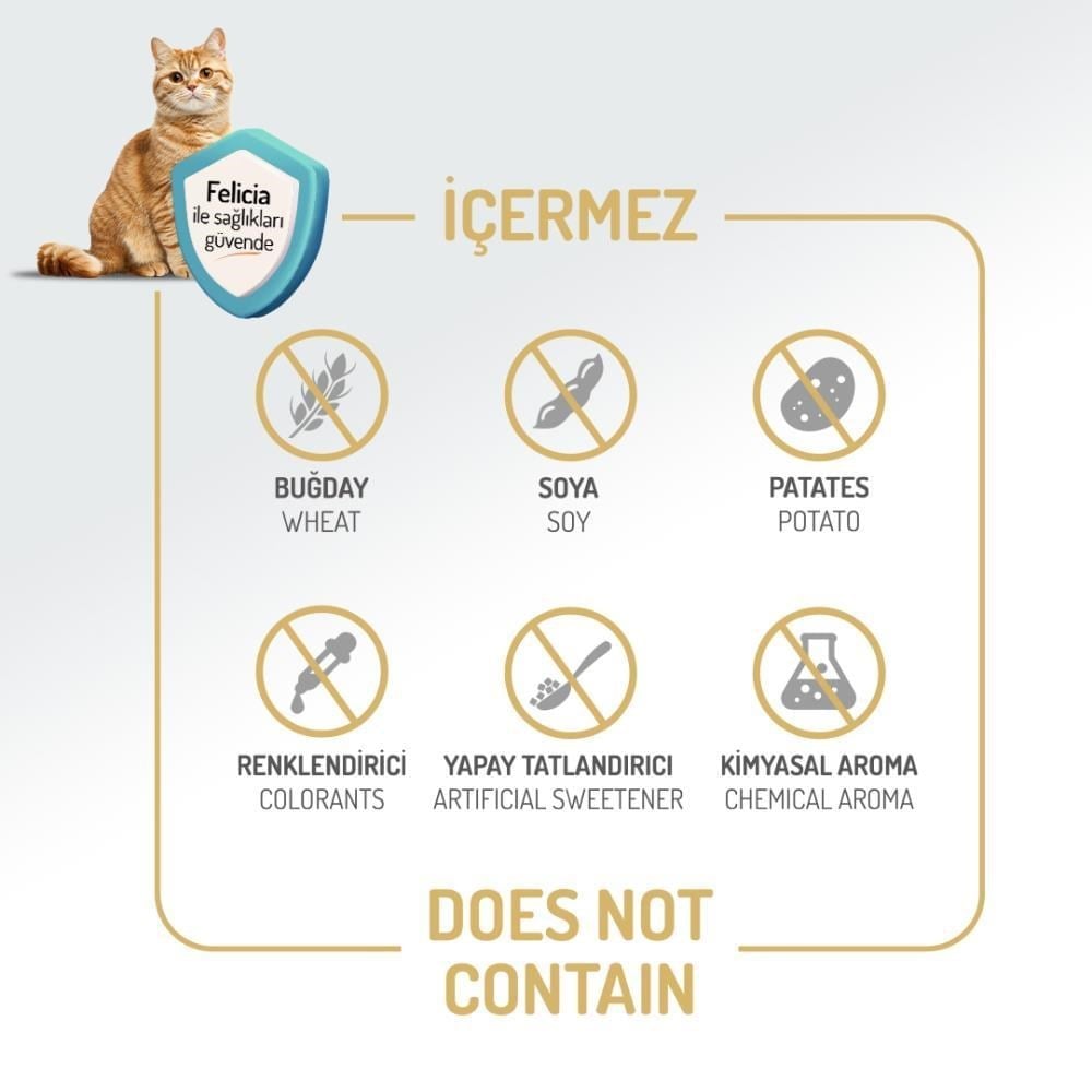 Felicia Tavuklu Yetişkin Kedi Maması 12 kgFelicia