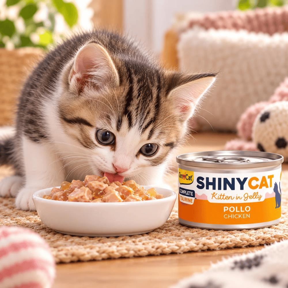GimCat ShinyCat Tavuklu Yavru Kedi Konservesi 70 grGimcat