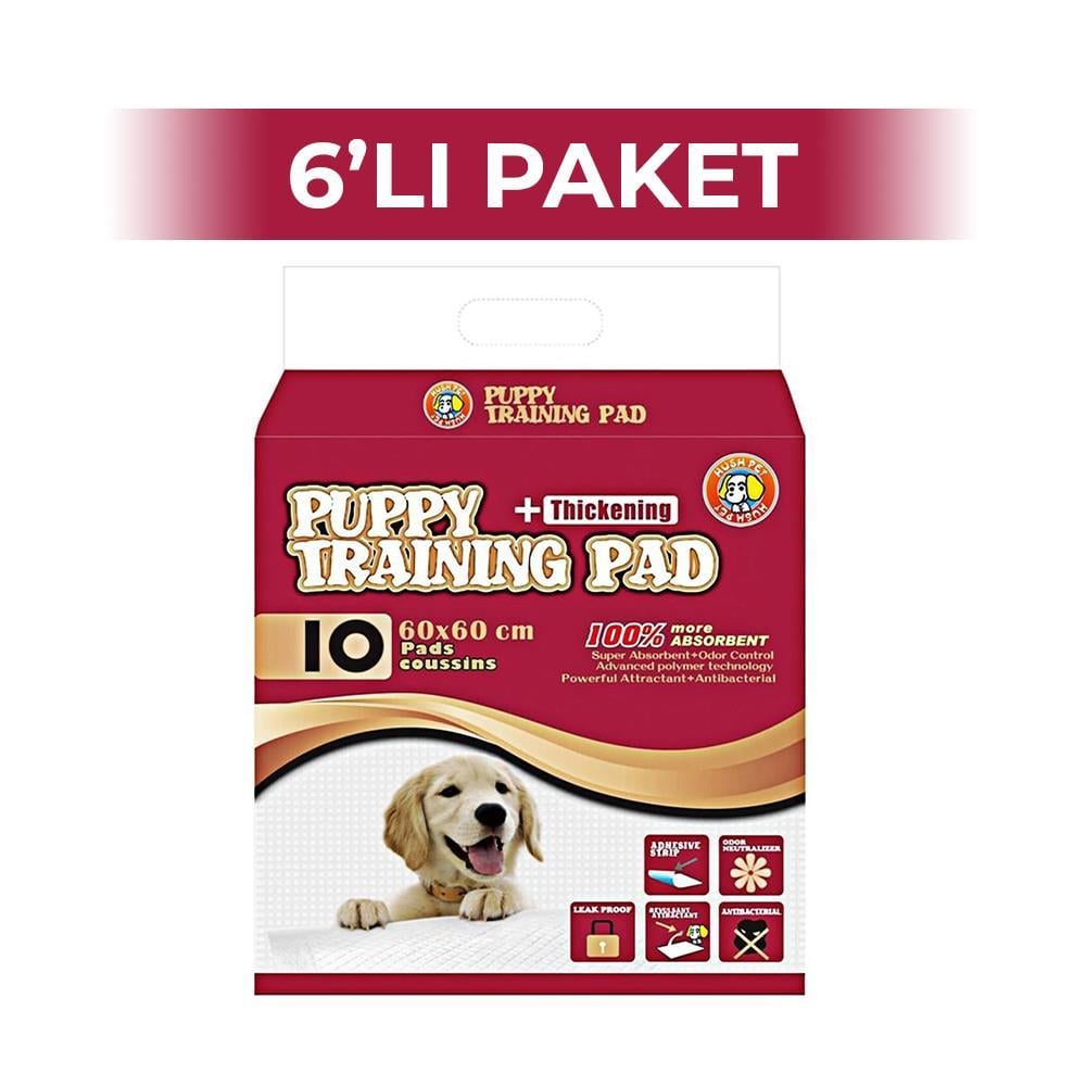 Hushpet Köpek Çiş Eğitim Pedi 10'lu 60x60 cm 6 AdetHushpet