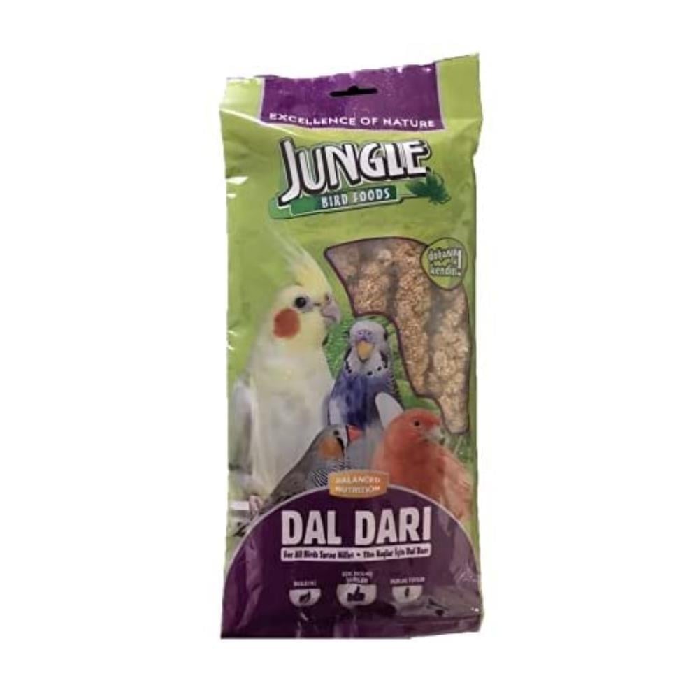 Jungle Kuşlar için Doğal Dal DarıJungle