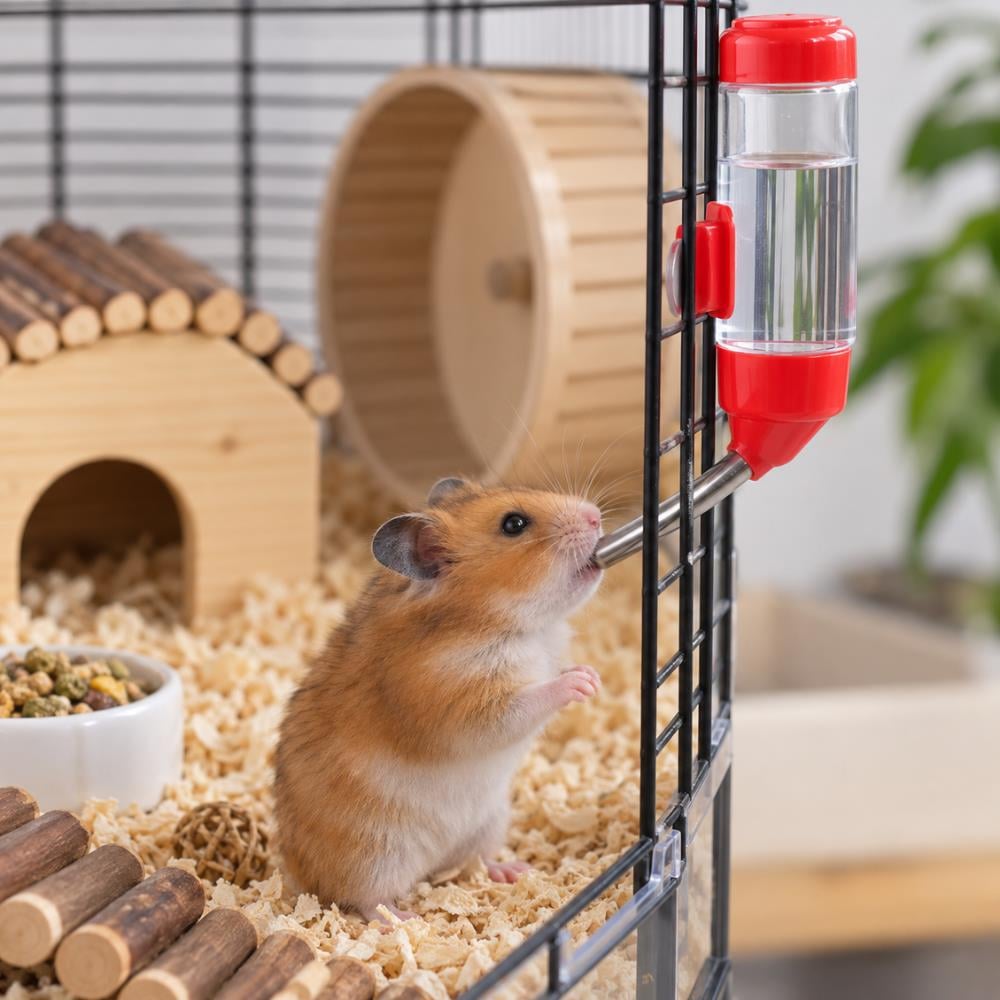 Lion Deluxe Hamster Suluğu 80 mlLion