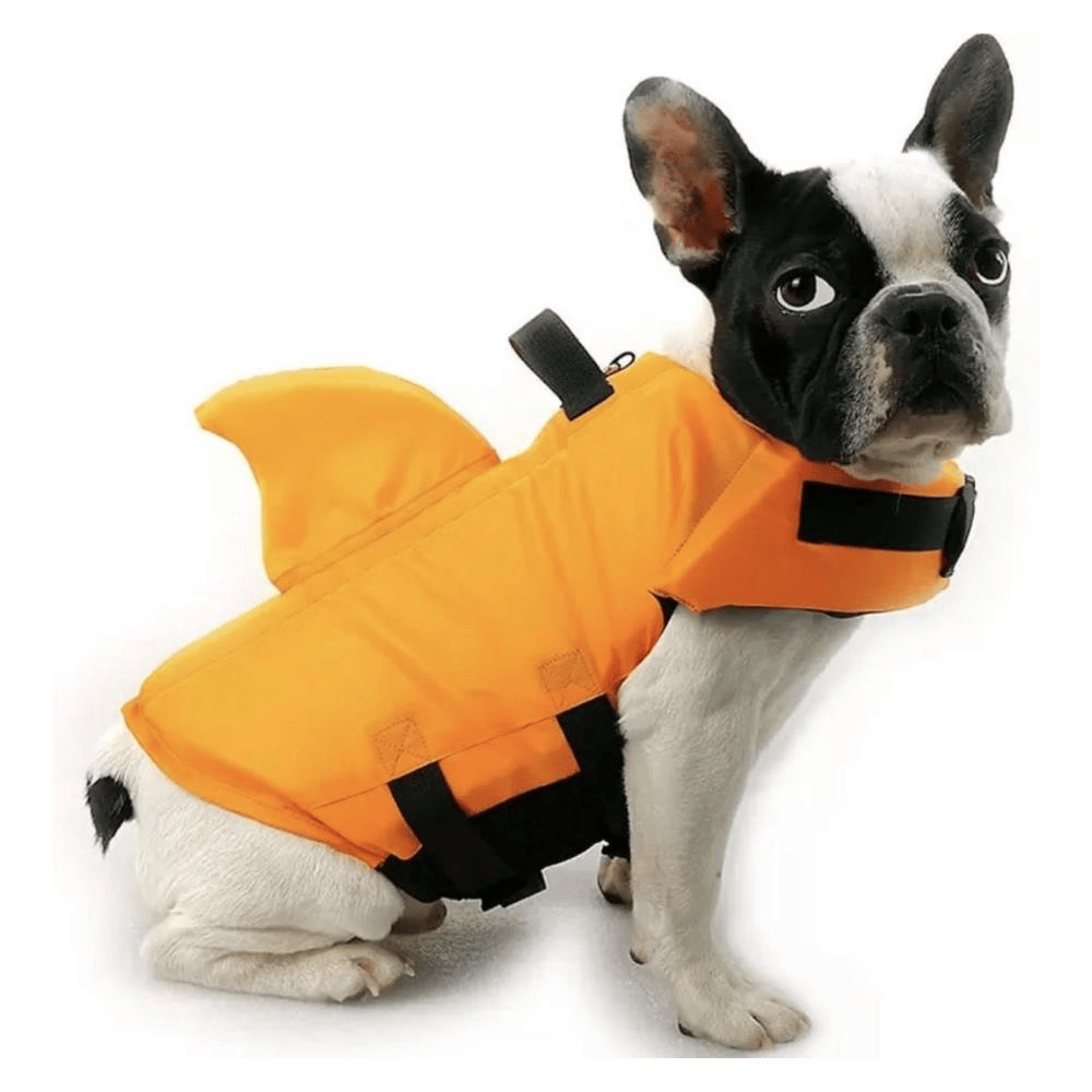 Lion Pet Shark Köpek Can Yeleği XS TuruncuLion