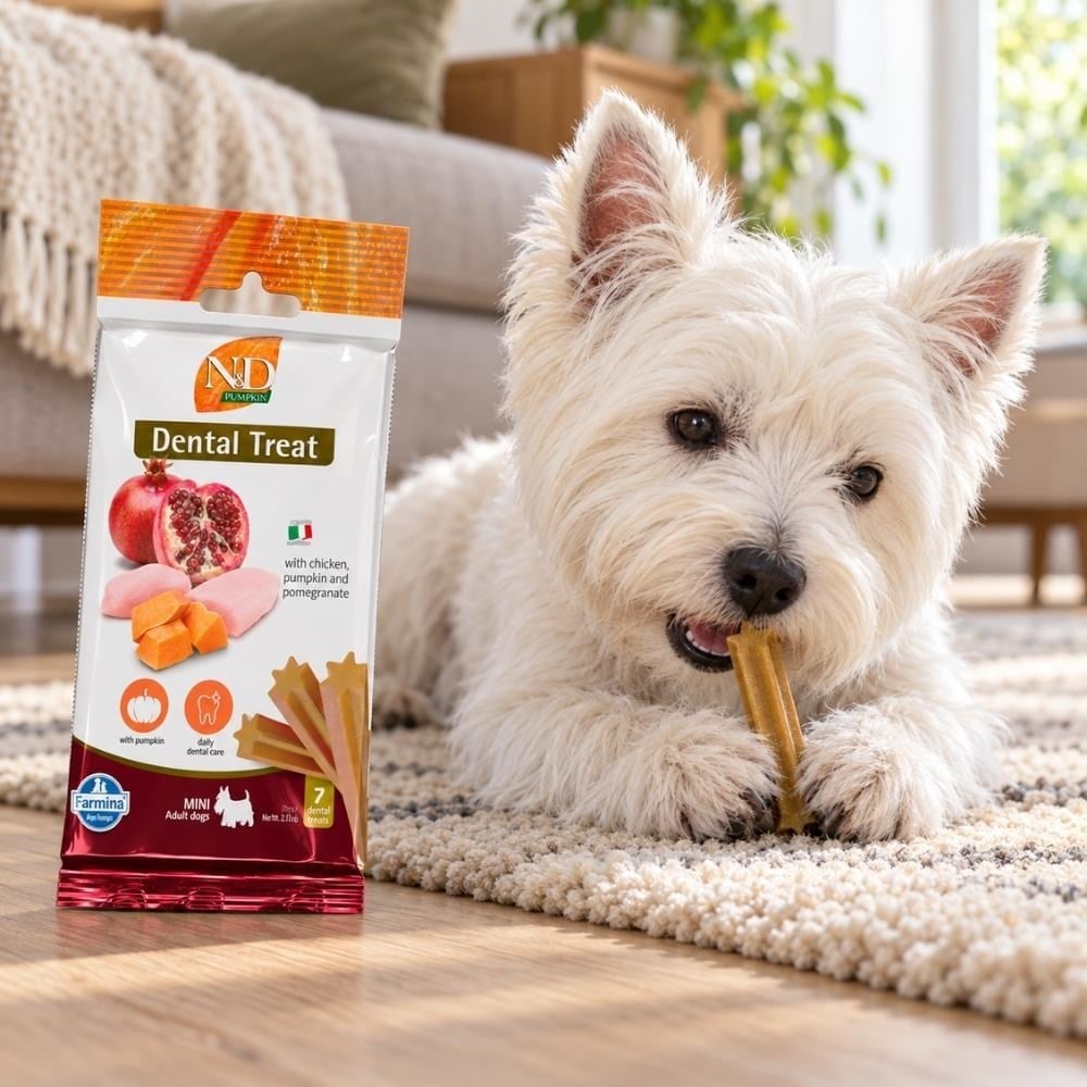N&D Tavuklu, Bal Kabaklı ve Narlı Küçük Irk Köpek Ödül Maması 60 gr 7'liND