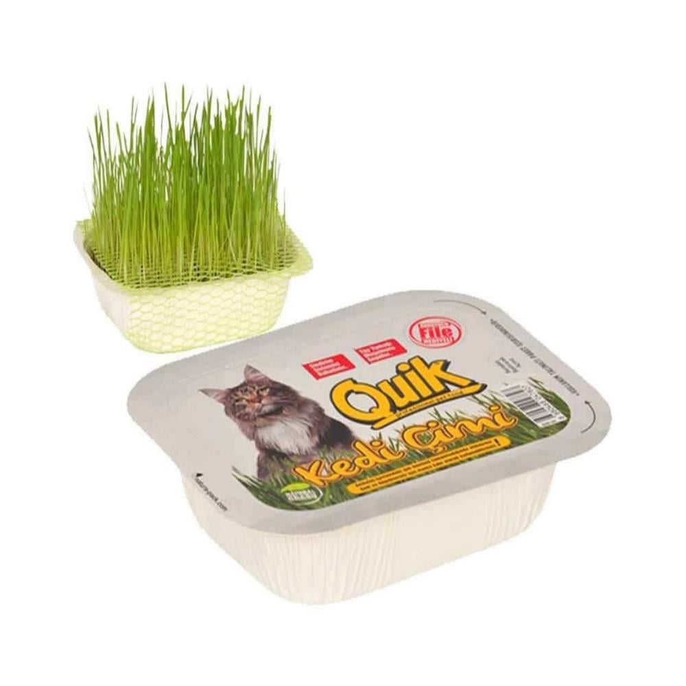 Quik Gerçek Topraklı Kedi Çimi FileliQuik