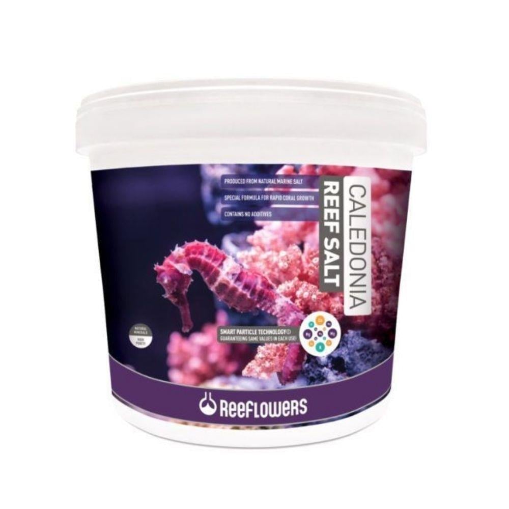 ReeFlowers Caledonia Reef Salt Mercan için Okyanus Tuzu 22,5 kgReeflowers