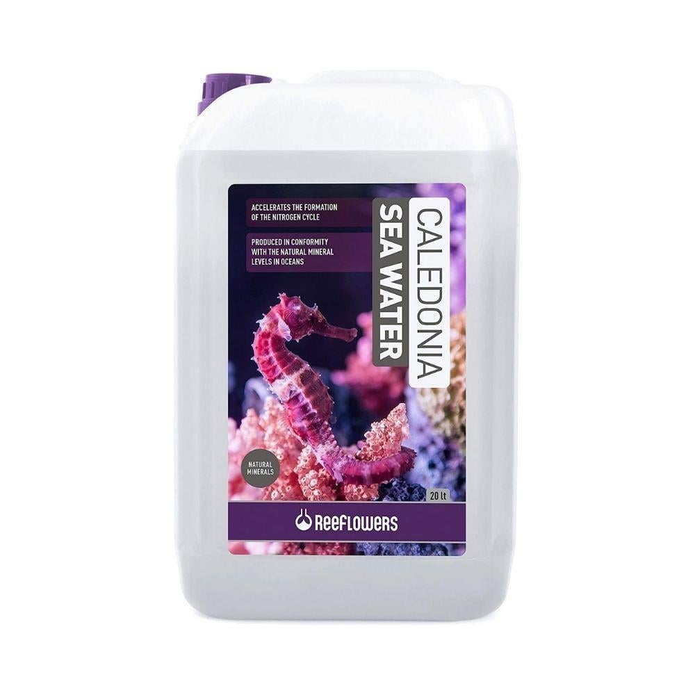 ReeFlowers Caledonia Sea Water Doğal Deniz Suyu 20 ltReeflowers