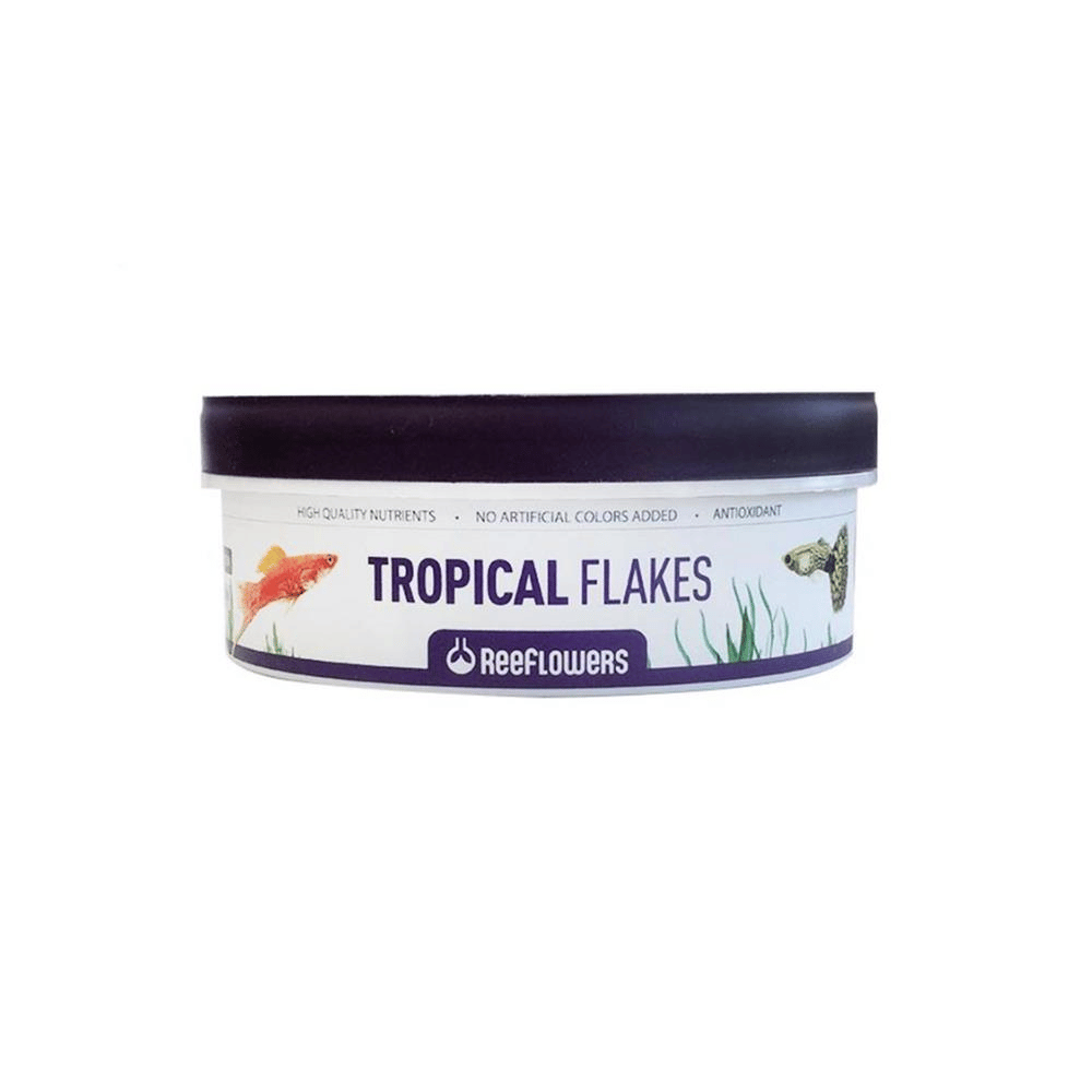 Reeflowers Tropical Flakes Balık Yemi 150 grReeflowers