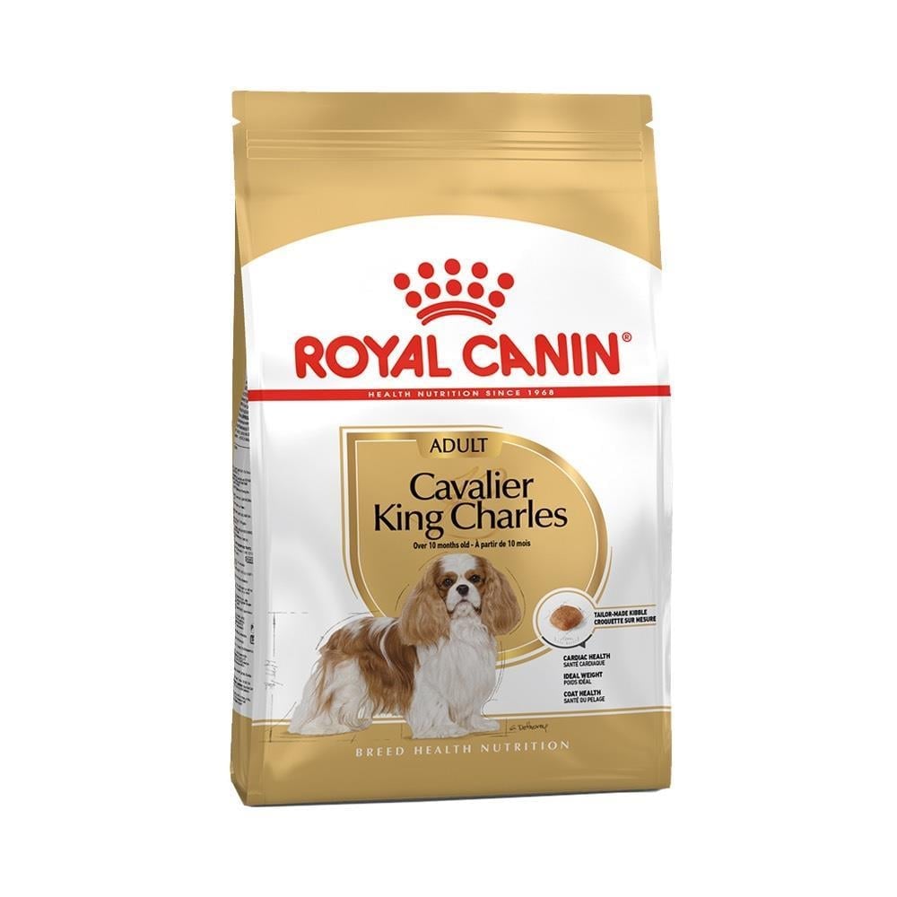 Royal Canin Cavalier King Charles Adult Yetişkin Köpek Maması 1,5 kgRoyal Canin