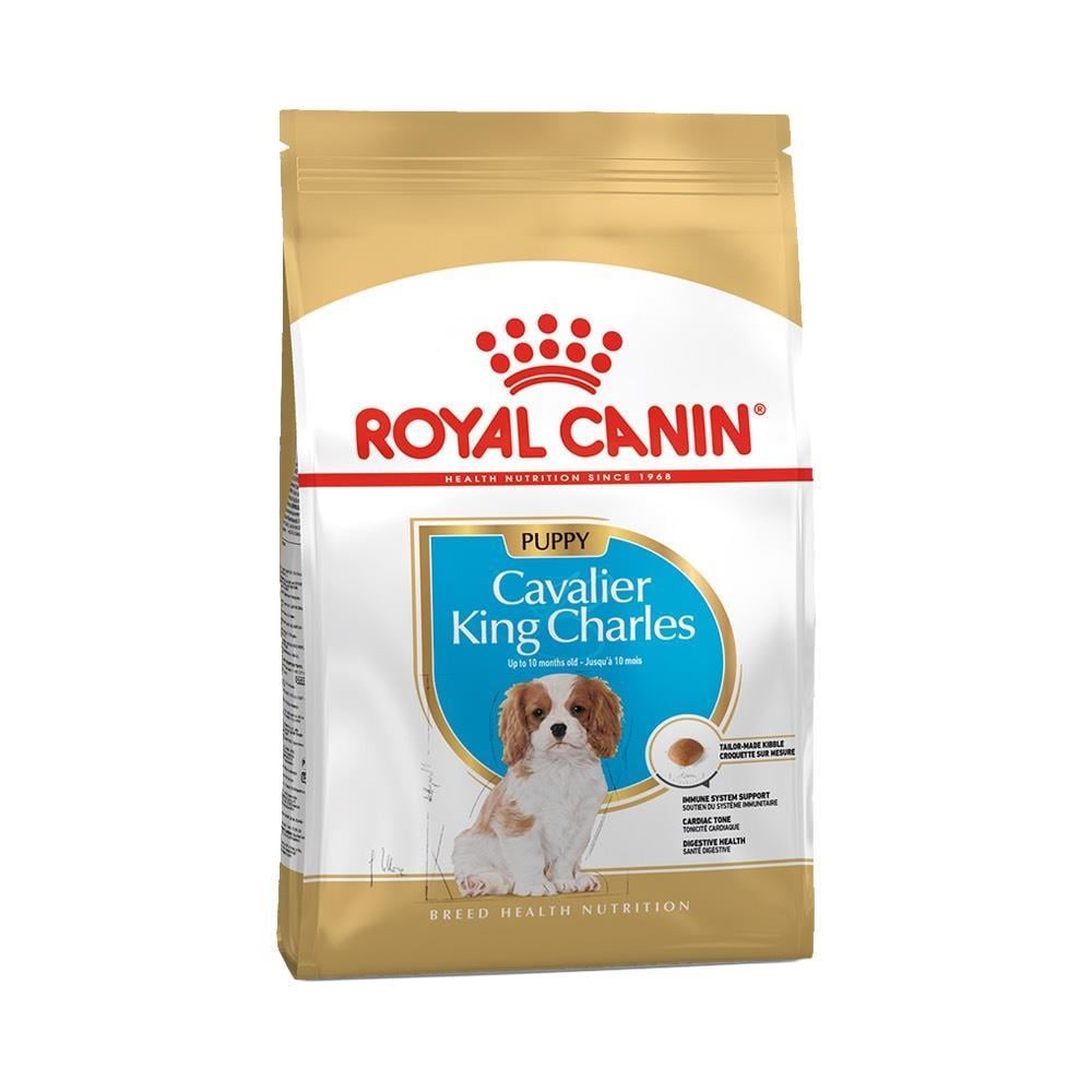 Royal Canin Cavalier King Charles Puppy Yavru Köpek Maması 1,5 kgRoyal Canin