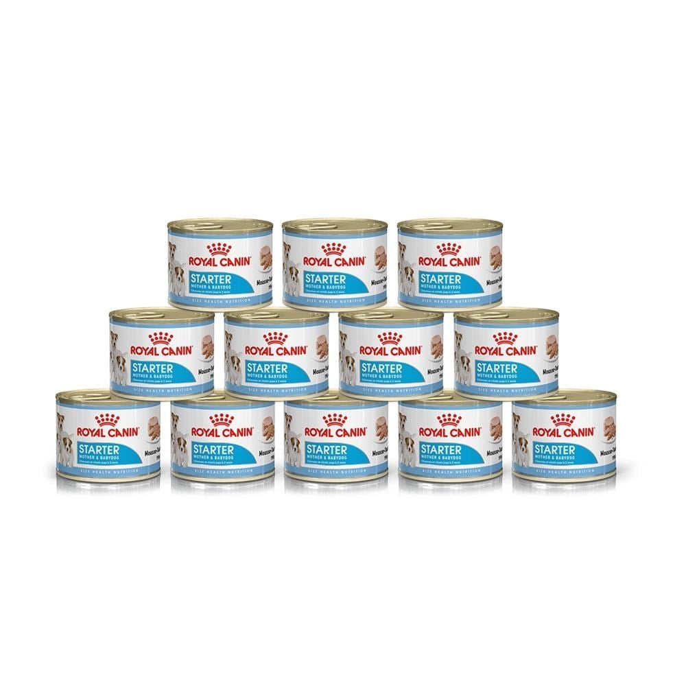 Royal Canin Starter Mousse Mother and Babydog Konserve Köpek Maması 195 gr 12 AdetRoyal Canin