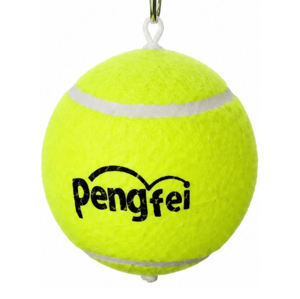 Tenis Topu Kedi ve Köpek Oyuncağı 10 cmZoo