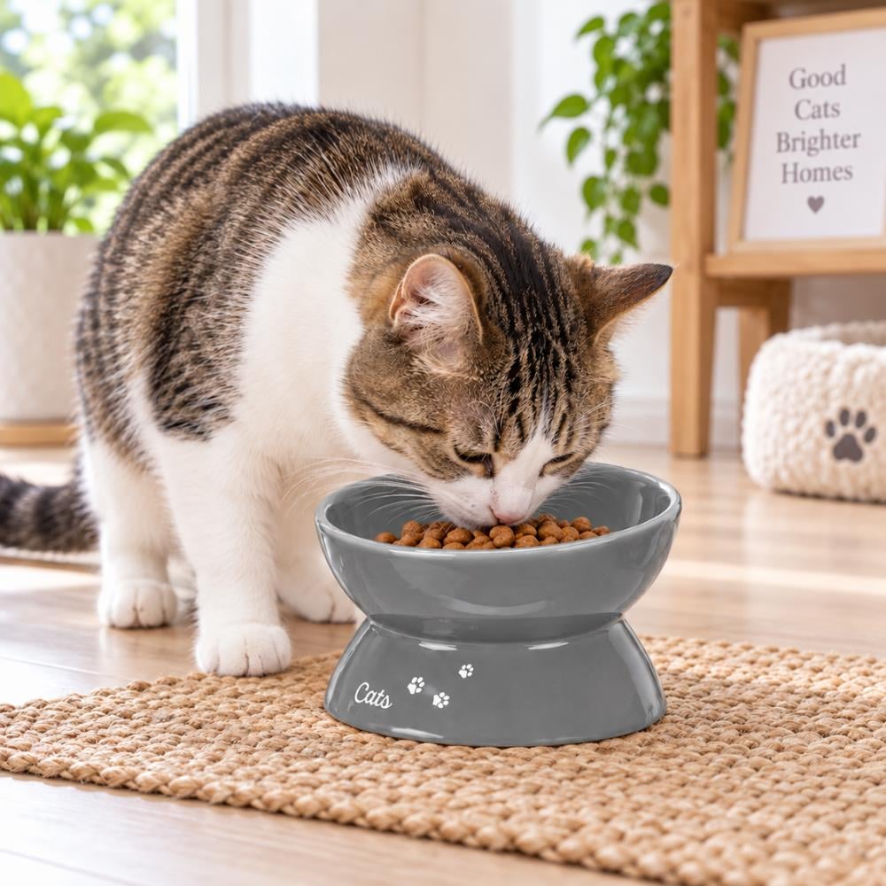 Trixie XXL Yükseltilmiş Seramik Kedi Mama ve Su Kabı 0,35 L 17 cm GriTrixie