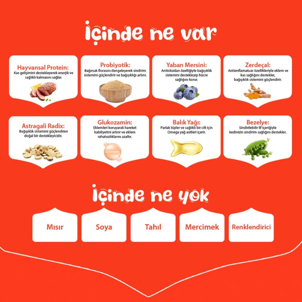 Wanpy Tahılsız Ördekli Yetişkin Köpek Maması 1,5 kgWanpy
