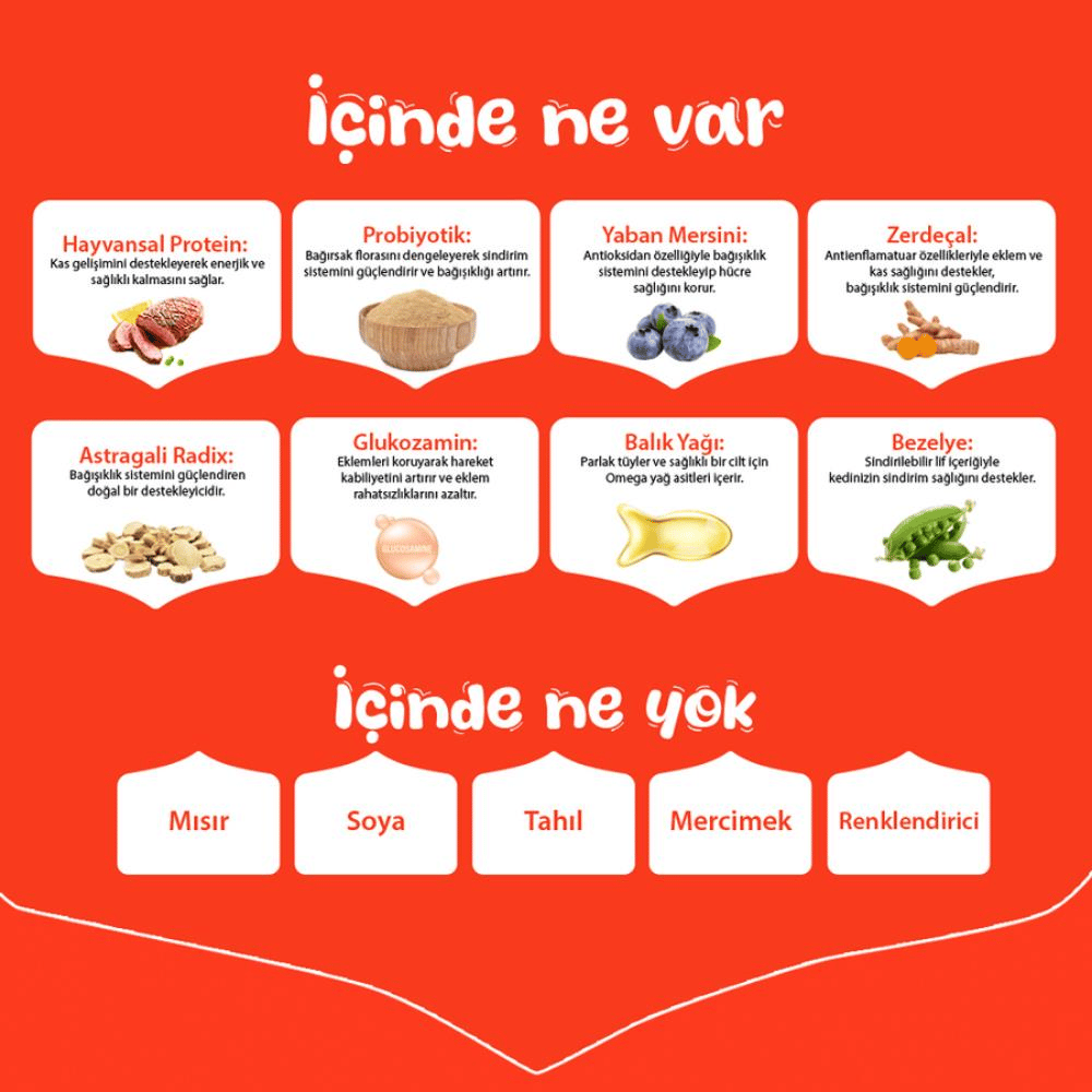 Wanpy Tahılsız Sığır Etli Yetişkin Köpek Maması 1,5 kgWanpy