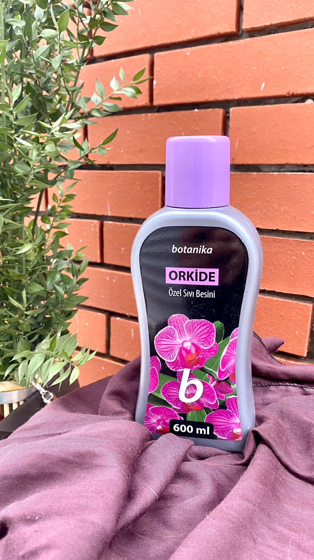 BOTANİKA ORKİDE İÇİN SIVI BİTKİ BESİNİ