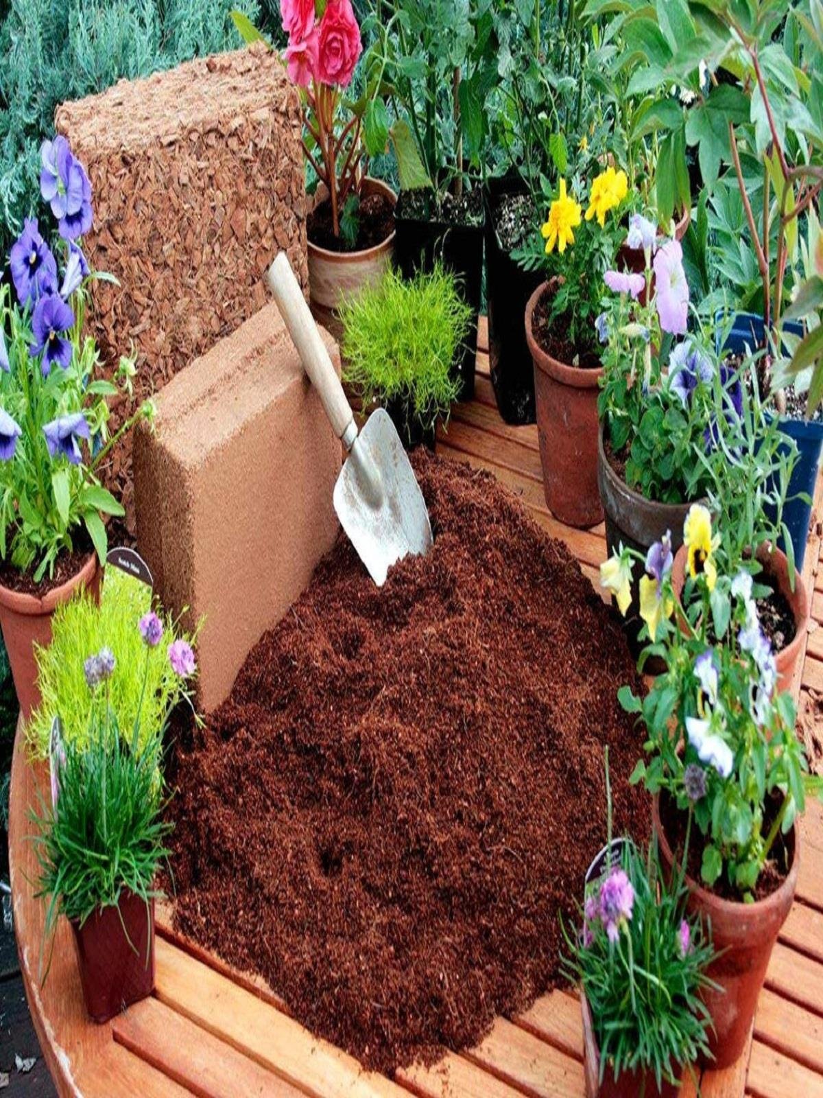Cocopeat Hindistan Cevizi Kabuğu Kokopit Blok 4.5-5 kg 70-80 Lt
