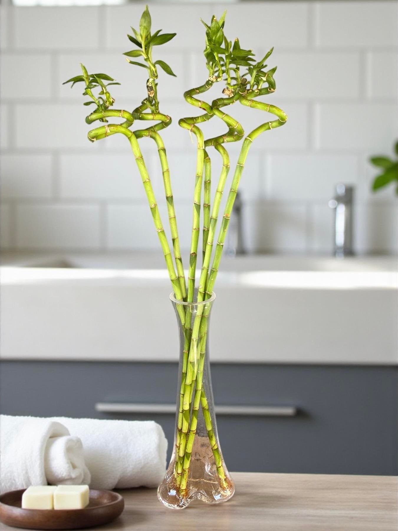 Dekoratif Cam Vazo Fil Ayağı