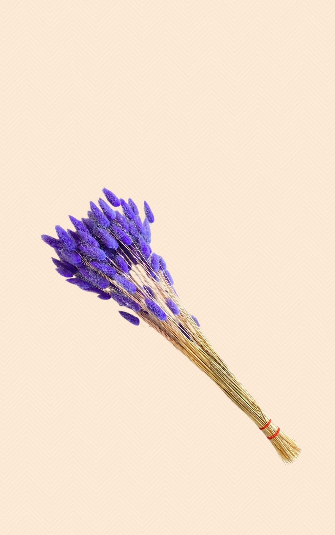 Dekoratif Şoklanmış Mor Pamuk Otu Kuru Çiçek