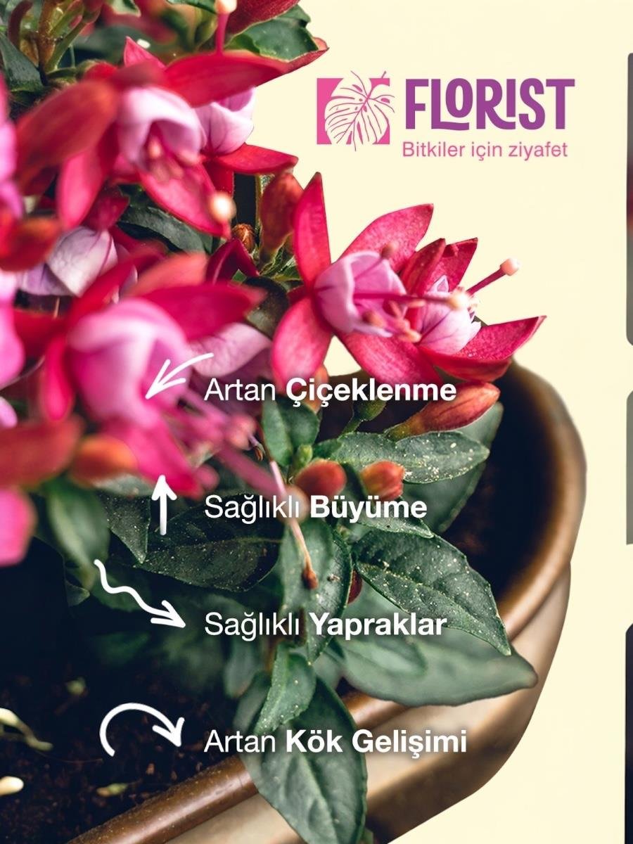 Florist Şaseli Çiçekli Bitkiler İçin Sıvı Bitki Besini
