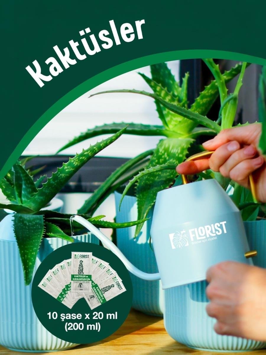 Florist Şaseli Kaktus ve Sukulent Bitkiler İçin Sıvı Bitki Besini
