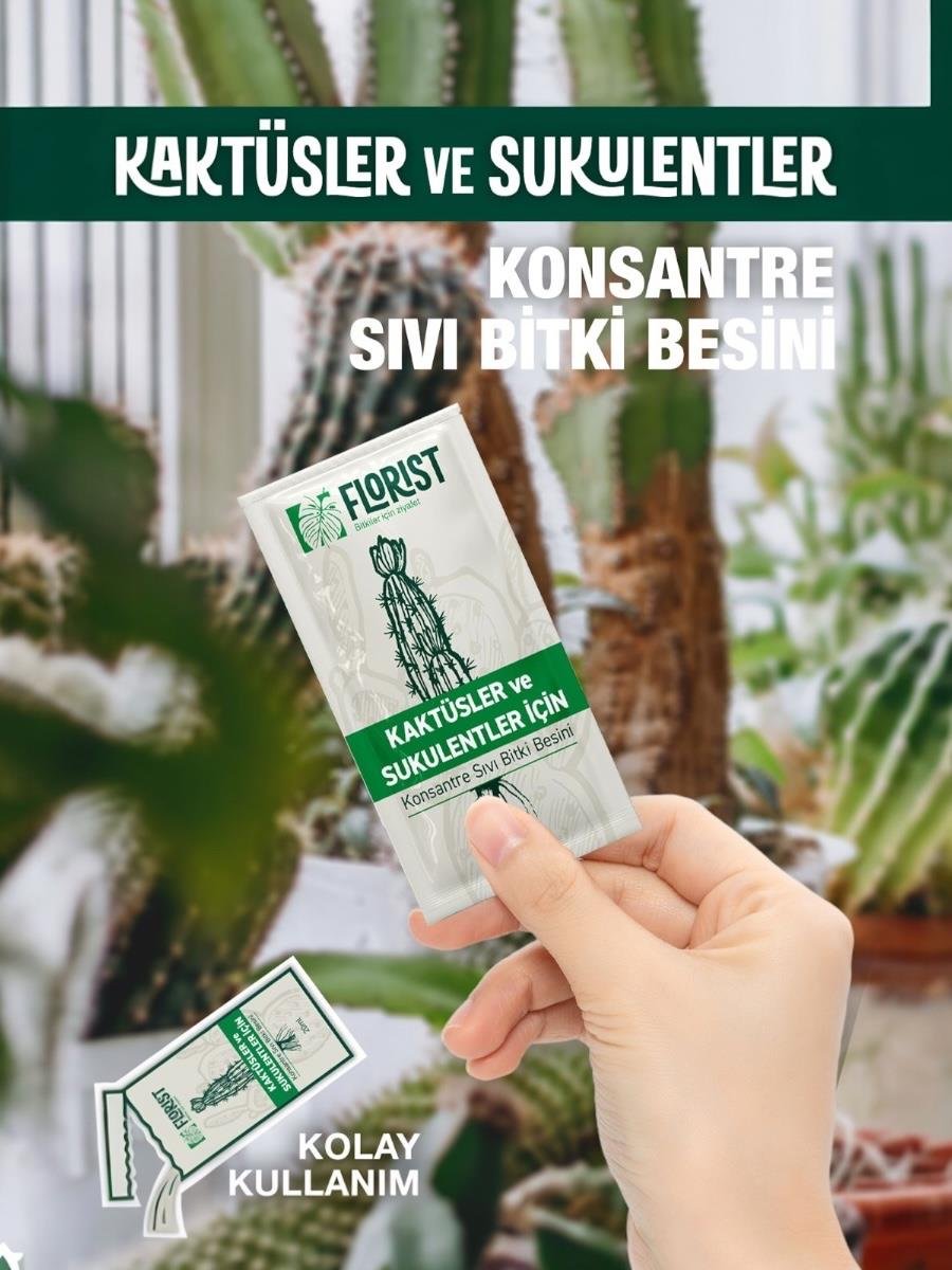 Florist Şaseli Kaktus ve Sukulent Bitkiler İçin Sıvı Bitki Besini