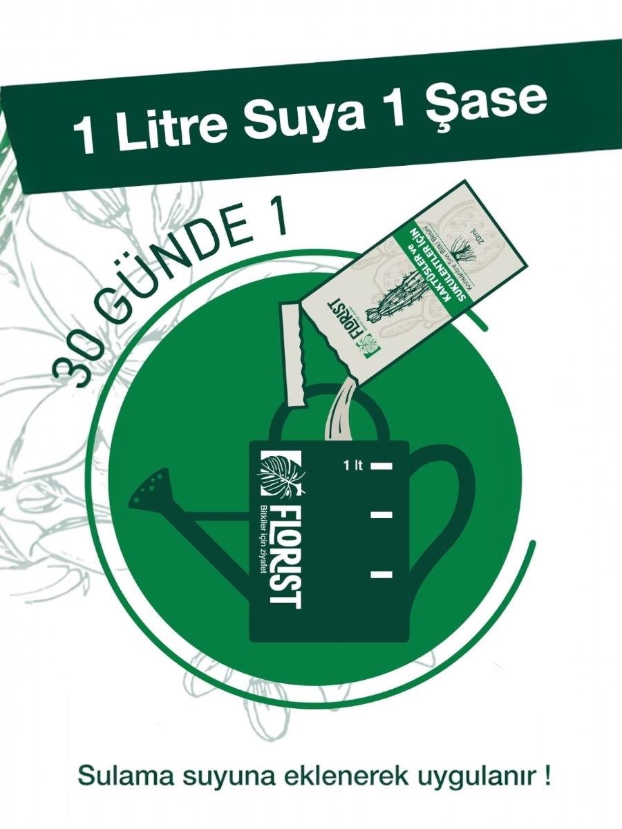 Florist Şaseli Kaktus ve Sukulent Bitkiler İçin Sıvı Bitki Besini