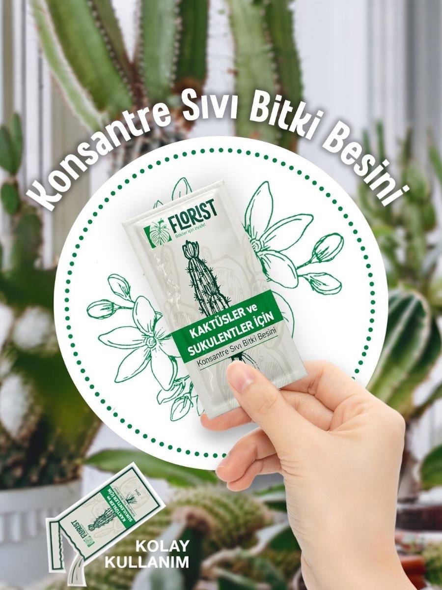 Florist Şaseli Kaktus ve Sukulent Bitkiler İçin Sıvı Bitki Besini