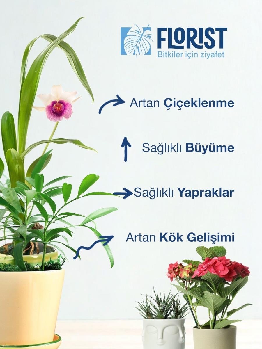 Florist Şaseli Tüm Bitkiler İçin Sıvı Bitki Besini