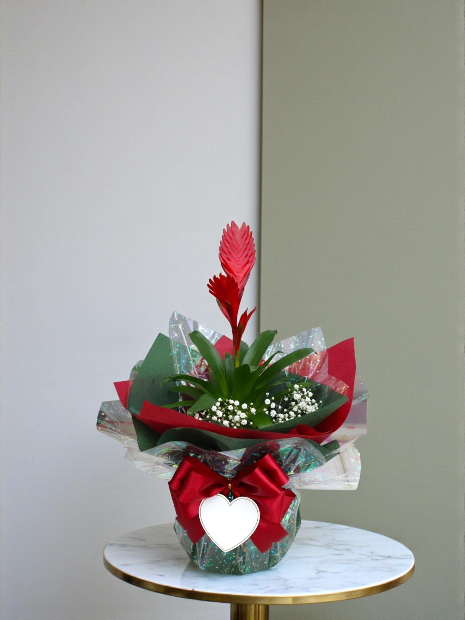 Kırmızı Alev Kılıcı – Vriesea Asteria (Vrezya) - Aylarca Solmayan Çiçek