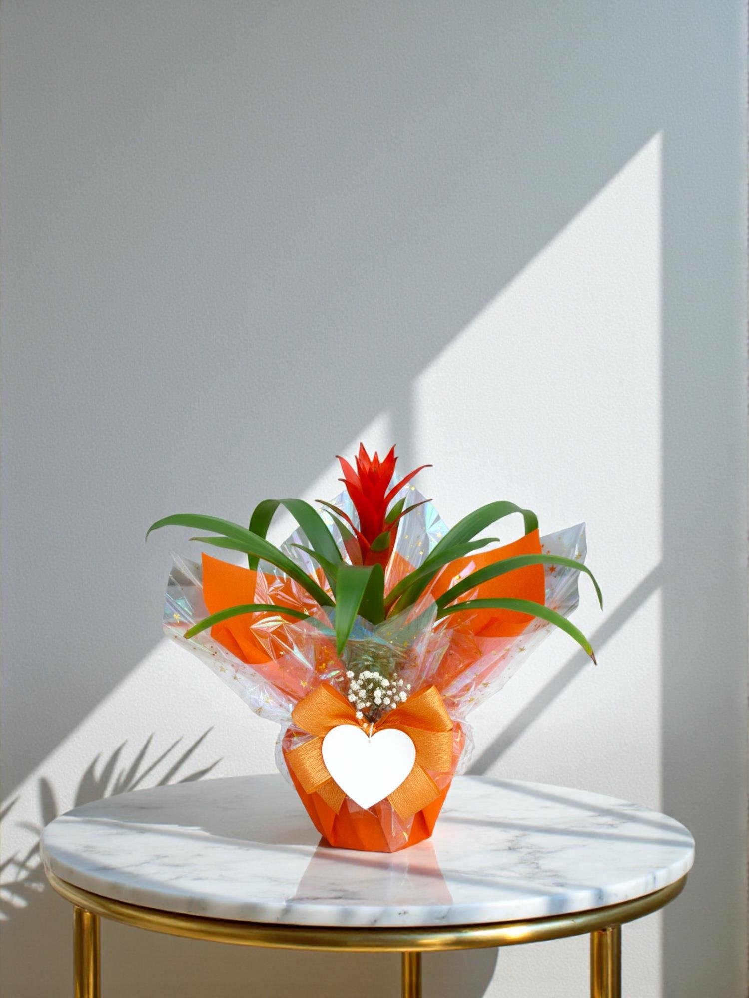 Kırmızı Guzmanya (Calypso) – Masa Üstü Aşk & Enerji Paketi (30 cm) ❤️